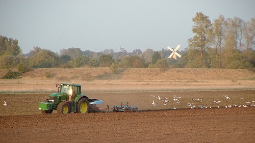 cultivations